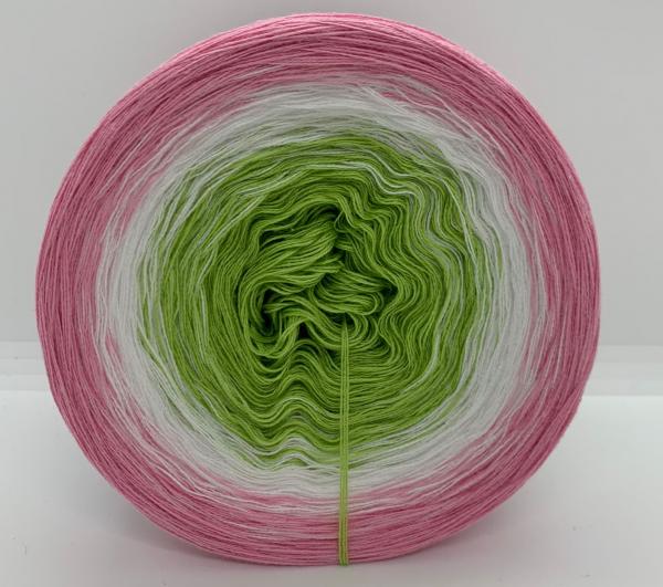 Superschnäppchen 41